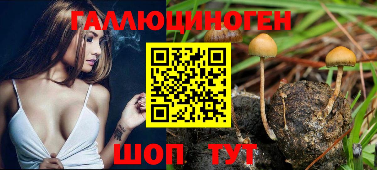 Галлюциногенные грибы мухоморы  Вход с VPN  Заводоуковск 