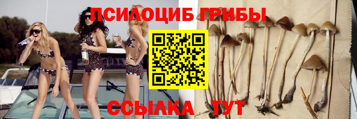 Галлюциногенные грибы ЛСД Заводоуковск
